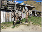 foto Monte Vertosan
